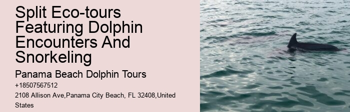 Tour Operator