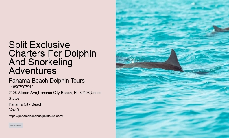 What Is The Sad Truth About Dolphins