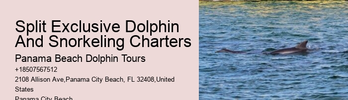 Dolphin Expeditions in Panama City Beach