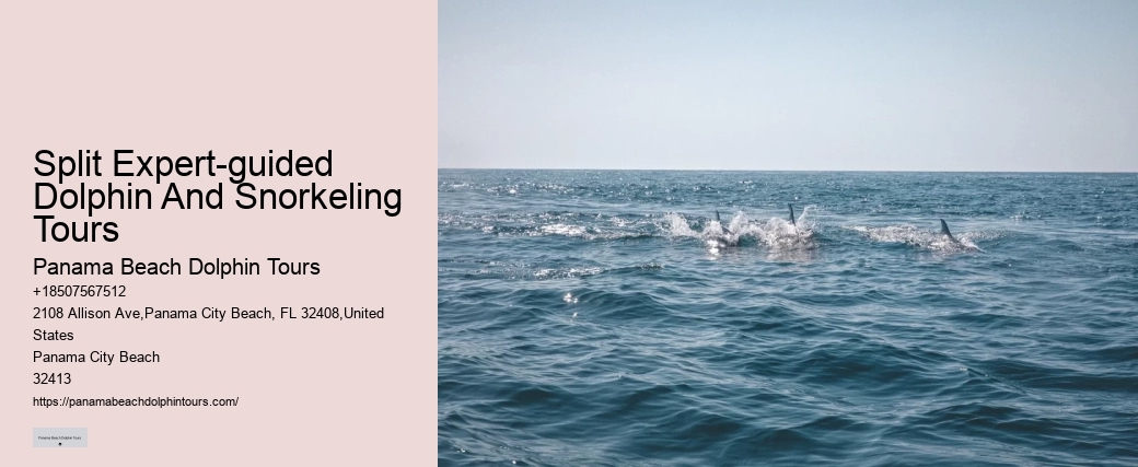 Ocean conservation