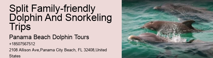 Panama City Beach dolphin excursion trips