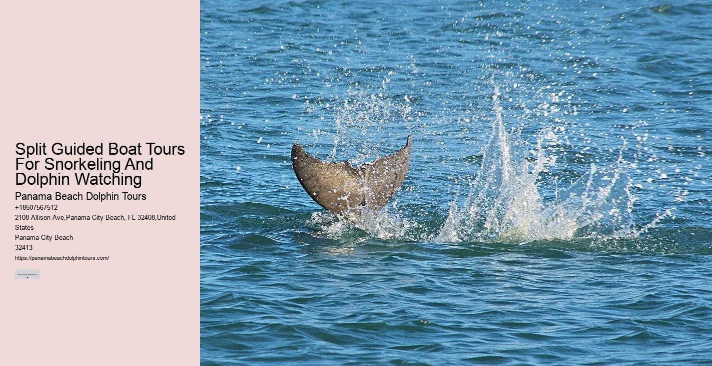 Rudee Dolphin Tours Reviews