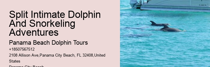 What Not To Do With Dolphins