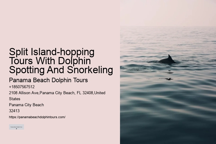 Protect Wild Dolphins: Admire Them From A Distance