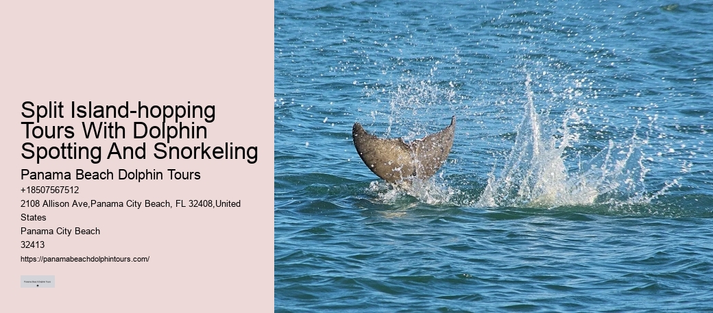 Dolphin Swims: A Code Of Conduct