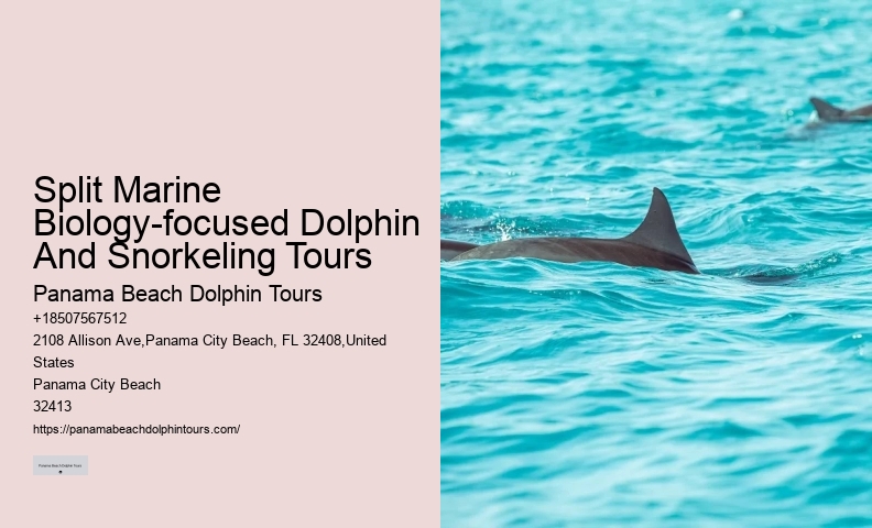 Panama City Beach Boat Tours To Shell Island