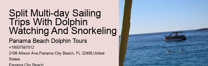 Split Charter Dolphin Tours