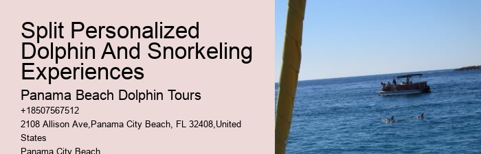 Palm Beach Dolphin Tours
