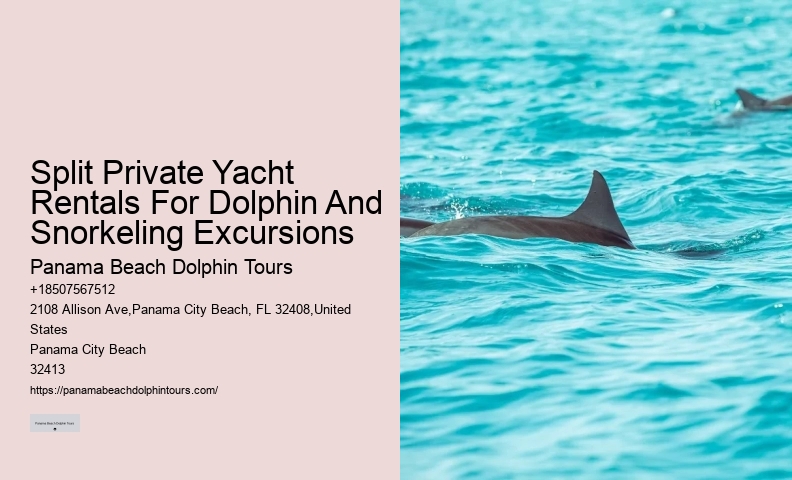 Dolphin Boat Snorkeling Tours In Panama City Beach