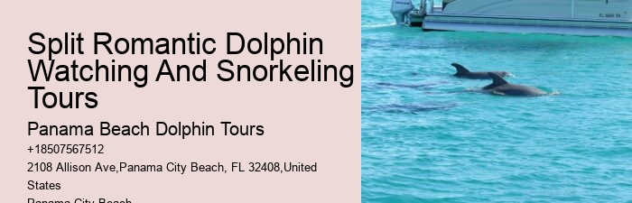 Best Excursion Panama City Beach