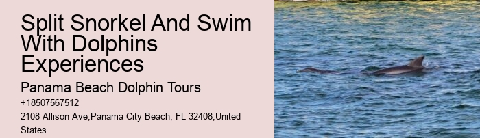 Are there any age restrictions for children on the dolphin tour