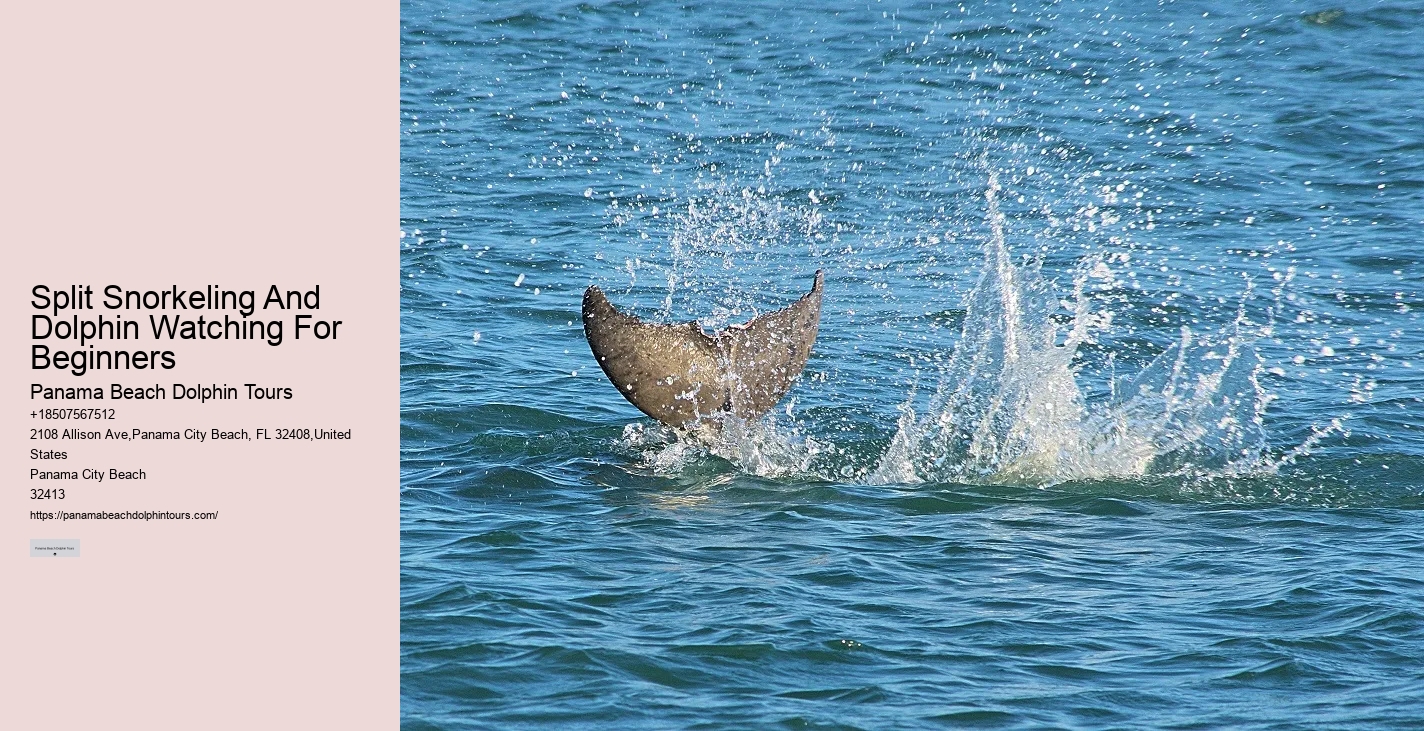 Panama City Beach marine life tours