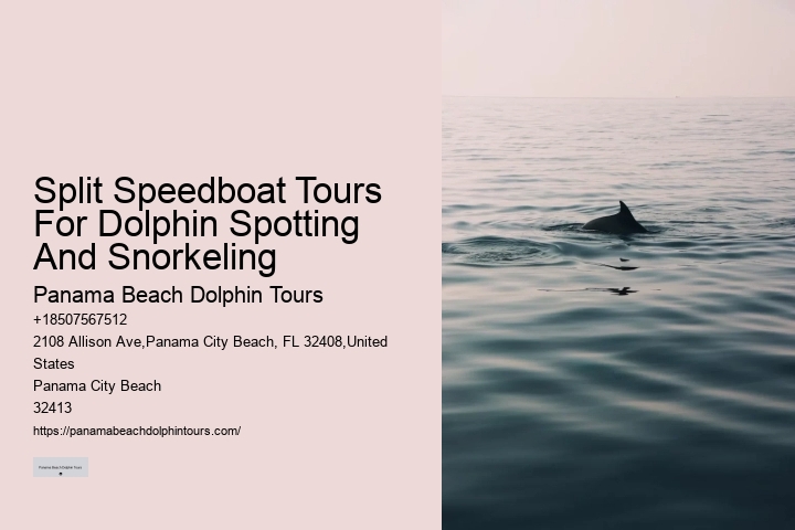Dolphin Tours Rosemary Beach