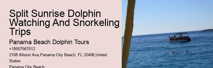 Panama City Beach Dolphin Sightseeing