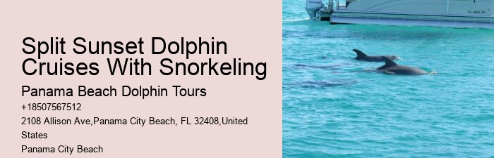 30a Dolphin Tours