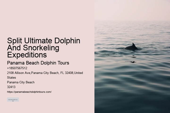 What safety measures are in place during dolphin tours in Panama City Beach