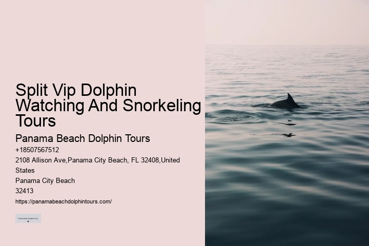 PCB Dolphin Spotting Tours