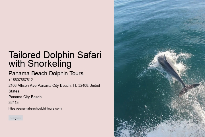 Guided Dolphin Safari with Snorkeling