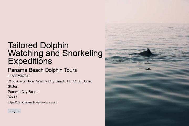 Swim With Dolphins