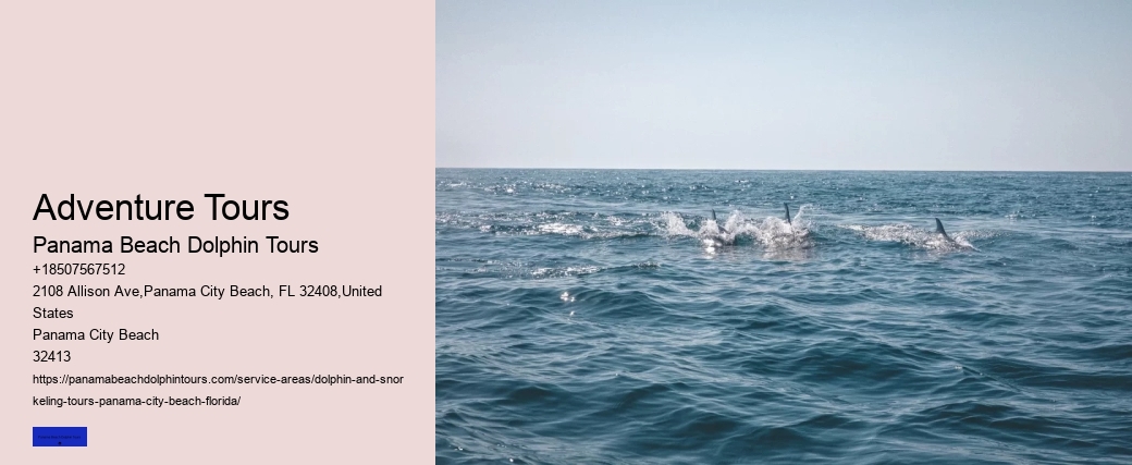 Come Swim With The Dolphins