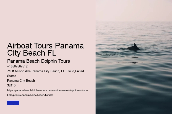 When Can You See Dolphins In Panama City Beach