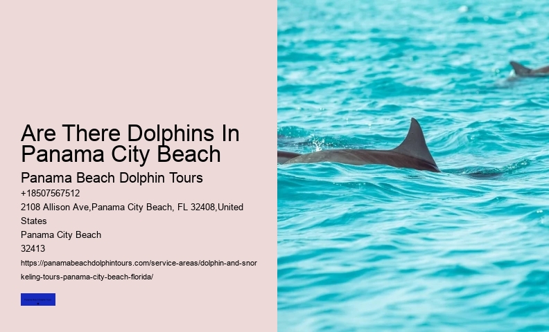 Dolphin Sightings