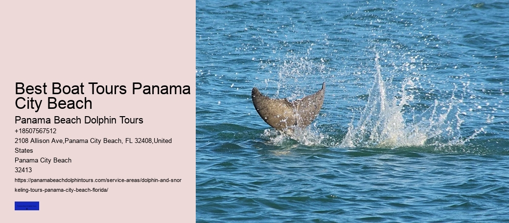 Private Dolphin Tours Panama City Beach