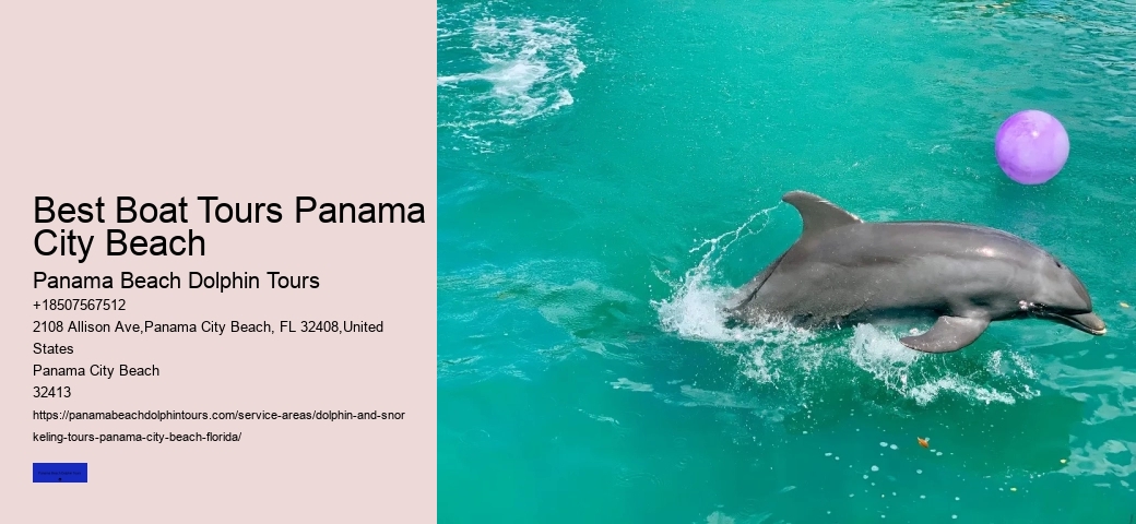 What Time Of Day Are Dolphins Out The Most