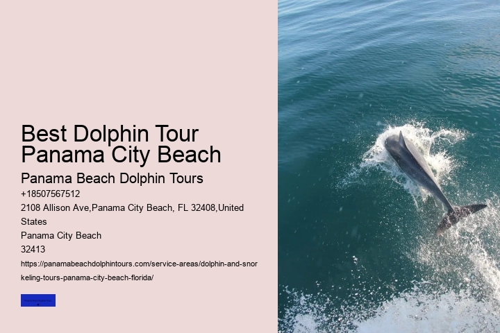 Dolphin Dinner Cruise Panama City Beach