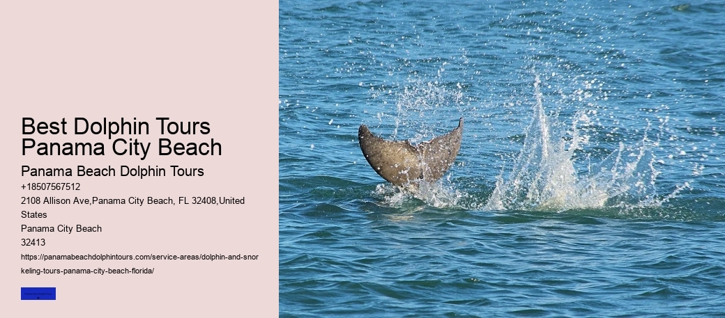 Panama City Beach Dolphin Sunset Cruise