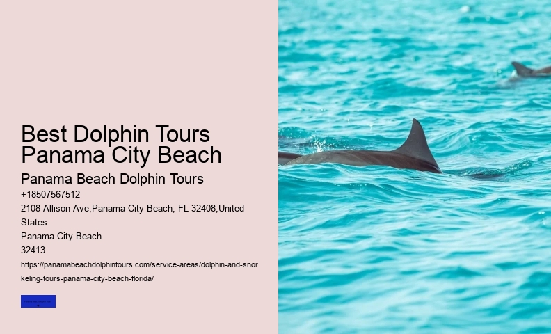 Dolphin Swims: A Code Of Conduct