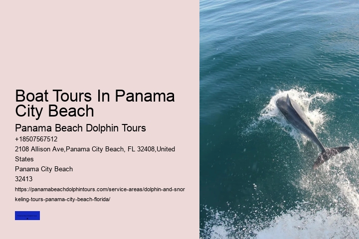Are Dolphins Rare To See