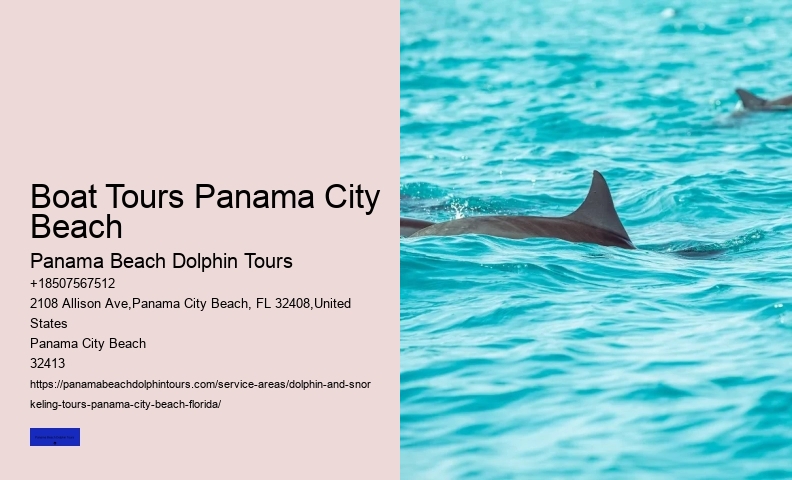 Waverunner Dolphin Tours Near Me