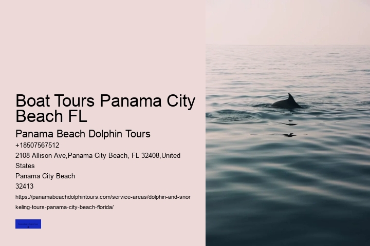 Where To See Dolphins In Panama City Beach