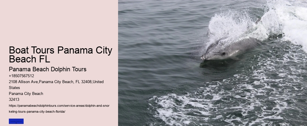 Dolphin Sightseeing