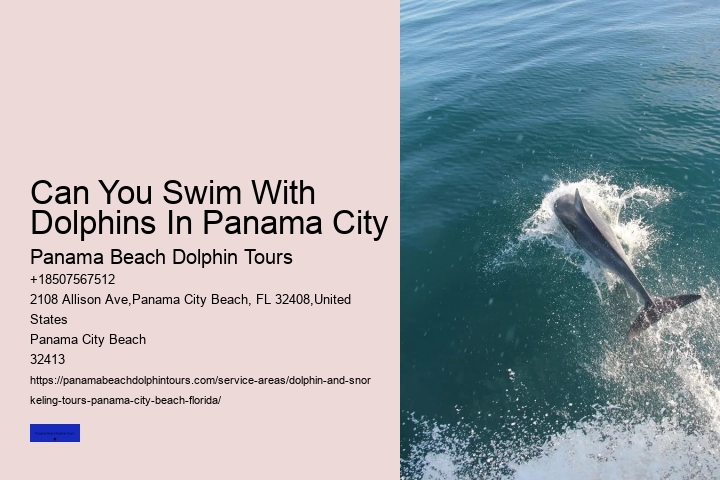 Dolphin Sightseeing