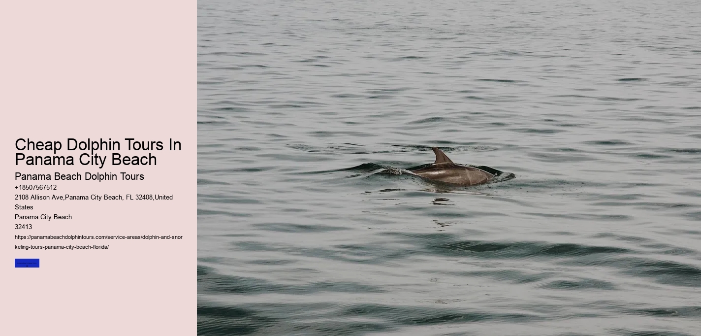Cheap Dolphin Tours In Panama City Beach