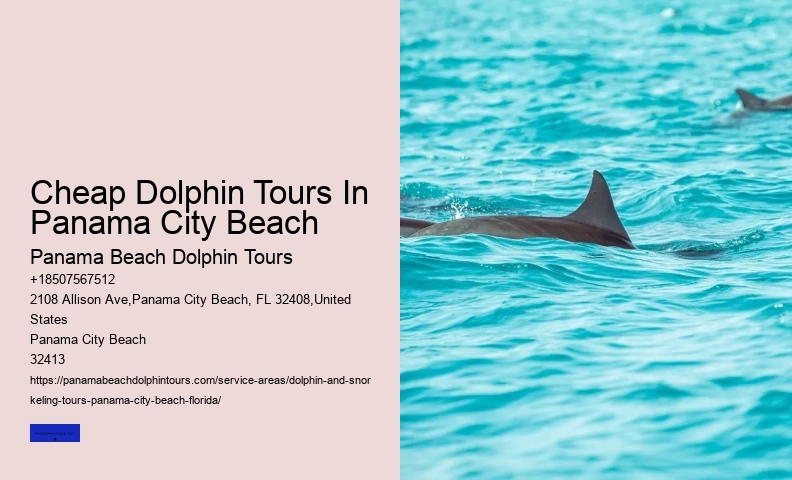 Jet Ski Dolphin Tours In Panama City Beach FL
