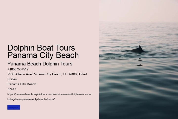Dolphin Boat Tours Panama City Beach