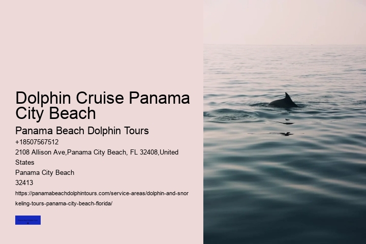 Dolphin And Snorkel Tours Panama City Beach