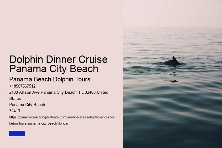 Shell Island Trips & Dolphin Tours