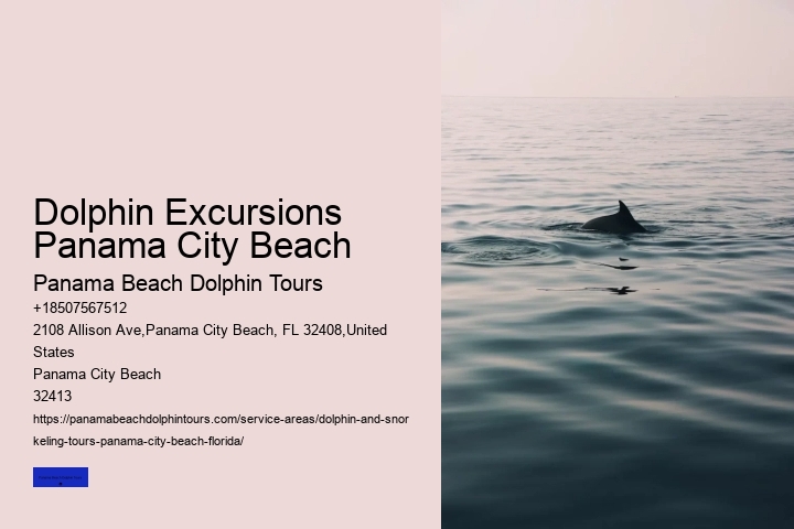 Shell Island Dolphin Tours Panama City Beach FL