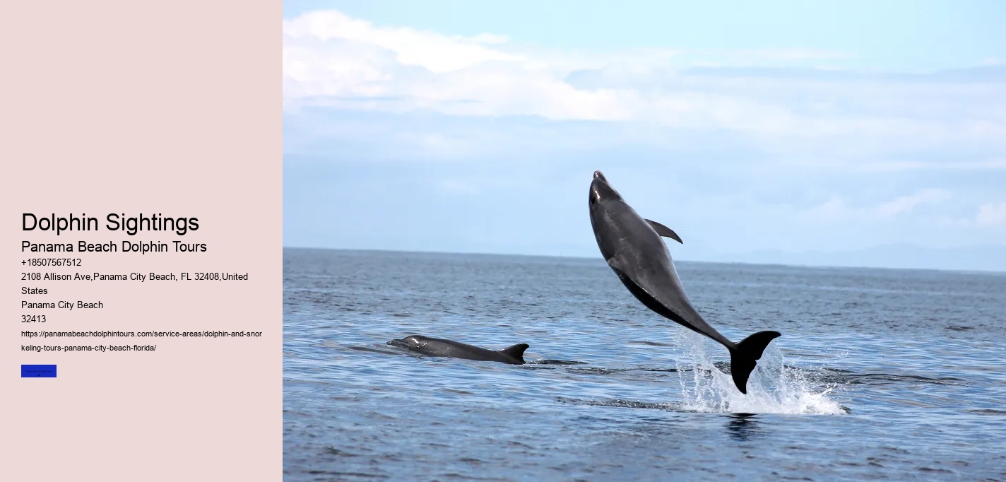 Is It Safer To Swim With Sharks Or Dolphins