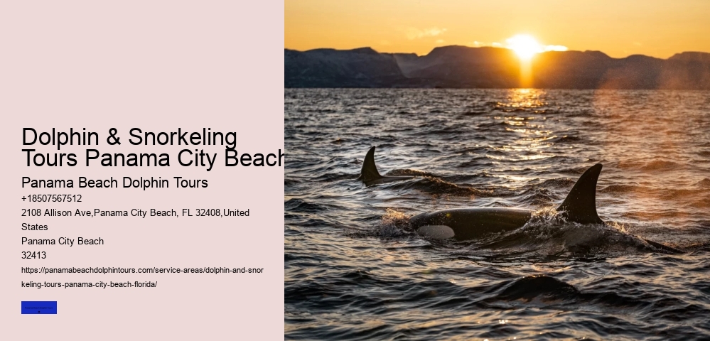 Best Boat Tours Panama City Beach