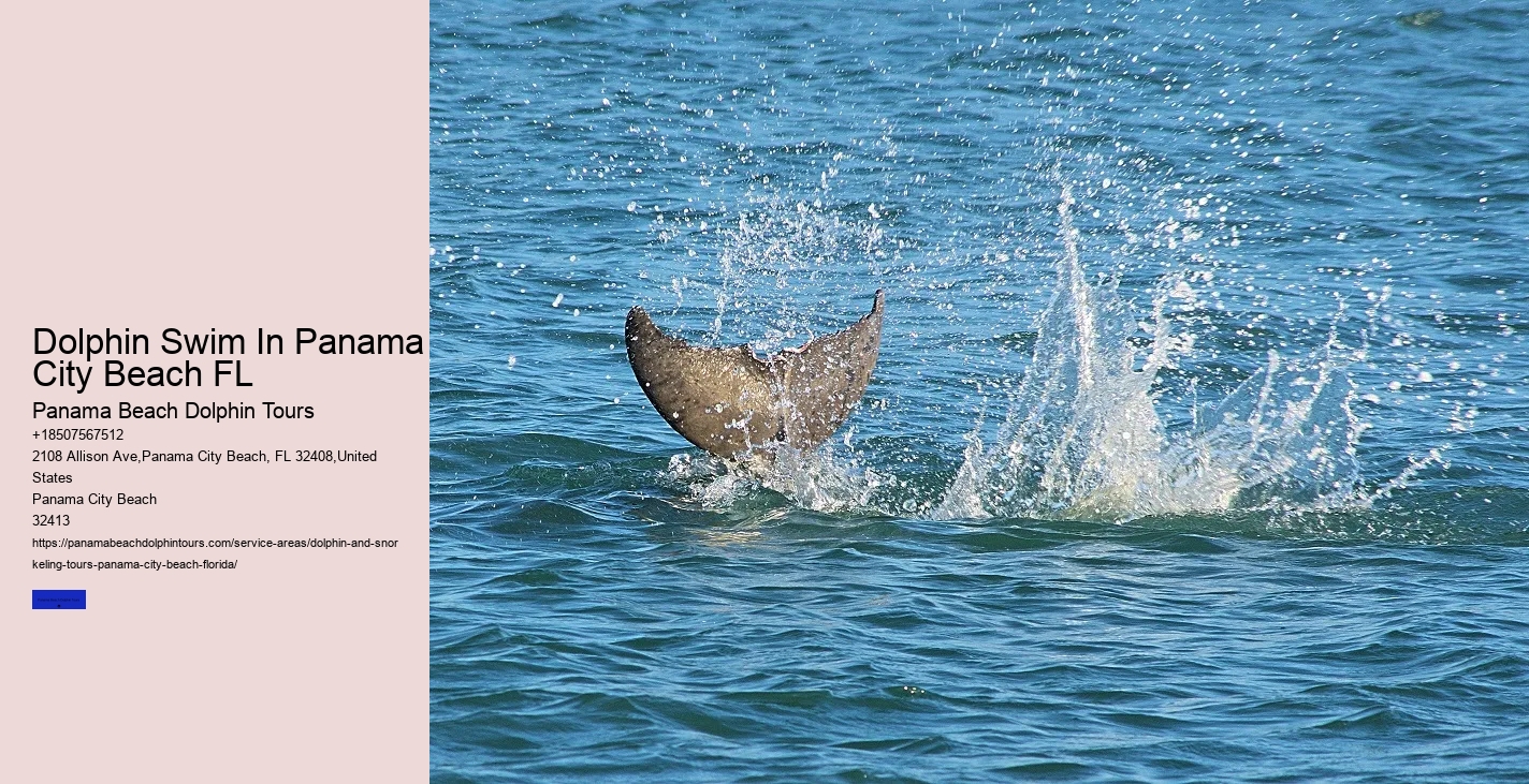 Dolphin Tours Panama City Beach