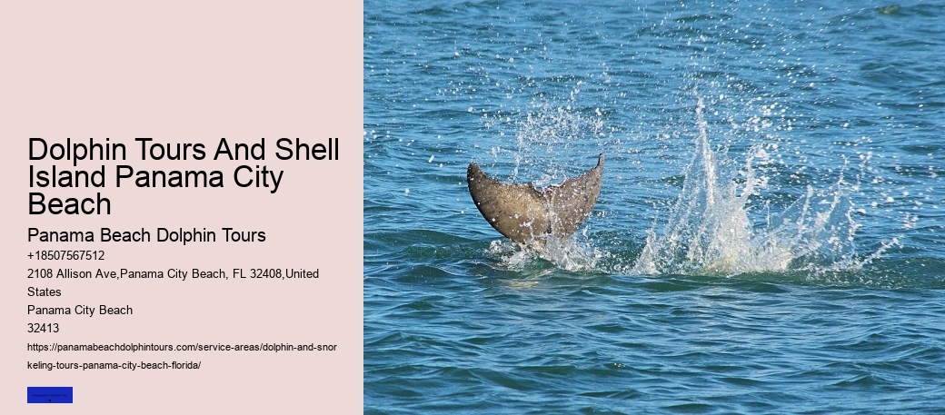Dolphin Tours And Shell Island Panama City Beach