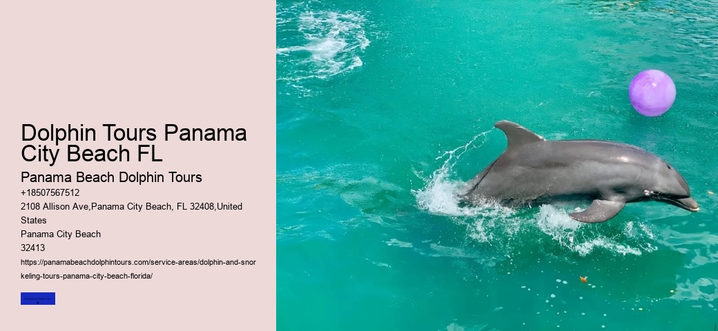 Flippers