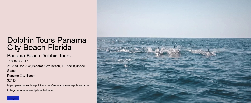 What Does It Mean When Dolphins Swim Around You