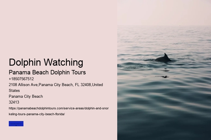 What Month Are Dolphins Most Active In Florida