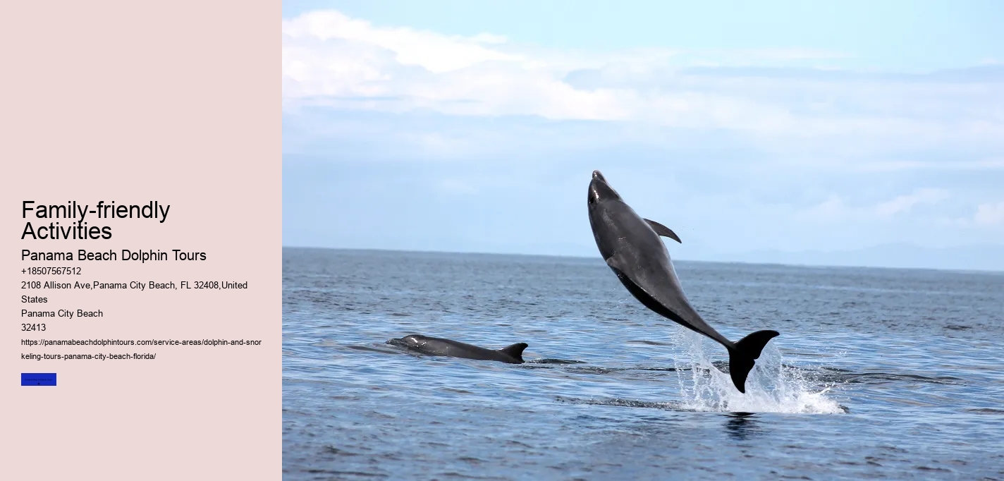 Panama City Beach Swim With Dolphins